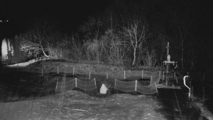 TJ Němčičky - Otočná kamera - 15.12.2025 v 22:20 TJ Němčičky - Otočná kamera - 15.12.2025 v 22:20