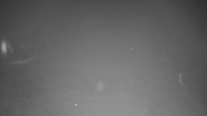 TJ Němčičky - Otočná kamera - 18.12.2025 v 18:35 TJ Němčičky - Otočná kamera - 18.12.2025 v 18:35