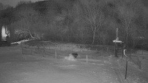 TJ Němčičky - Otočná kamera - 2.1.2026 v 00:00 TJ Němčičky - Otočná kamera - 2.1.2026 v 00:00