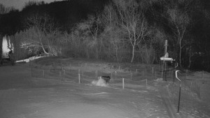 TJ Němčičky - Otočná kamera - 2.1.2026 v 01:50 TJ Němčičky - Otočná kamera - 2.1.2026 v 01:50