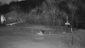 TJ Němčičky - Otočná kamera - 2.1.2026 v 02:00 TJ Němčičky - Otočná kamera - 2.1.2026 v 02:00