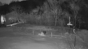 TJ Němčičky - Otočná kamera - 2.1.2026 v 02:30 TJ Němčičky - Otočná kamera - 2.1.2026 v 02:30