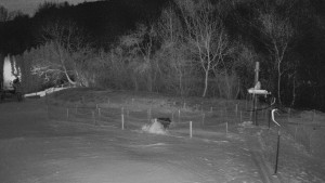 TJ Němčičky - Otočná kamera - 2.1.2026 v 02:50 TJ Němčičky - Otočná kamera - 2.1.2026 v 02:50