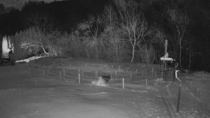 TJ Němčičky - Otočná kamera - 2.1.2026 v 03:15 TJ Němčičky - Otočná kamera - 2.1.2026 v 03:15