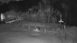 TJ Němčičky - Otočná kamera - 2.1.2026 v 03:50 TJ Němčičky - Otočná kamera - 2.1.2026 v 03:50