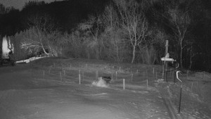 TJ Němčičky - Otočná kamera - 2.1.2026 v 04:15 TJ Němčičky - Otočná kamera - 2.1.2026 v 04:15