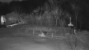 TJ Němčičky - Otočná kamera - 2.1.2026 v 04:50 TJ Němčičky - Otočná kamera - 2.1.2026 v 04:50