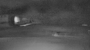 TJ Němčičky - Otočná kamera - 2.1.2026 v 05:40 TJ Němčičky - Otočná kamera - 2.1.2026 v 05:40