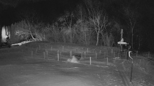 TJ Němčičky - Otočná kamera - 2.1.2026 v 05:50 TJ Němčičky - Otočná kamera - 2.1.2026 v 05:50