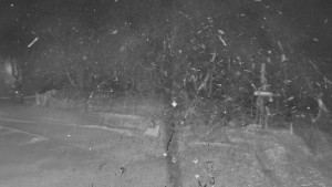 TJ Němčičky - Otočná kamera - 4.1.2026 v 04:55 TJ Němčičky - Otočná kamera - 4.1.2026 v 04:55