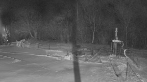 TJ Němčičky - Otočná kamera - 4.1.2026 v 06:25 TJ Němčičky - Otočná kamera - 4.1.2026 v 06:25