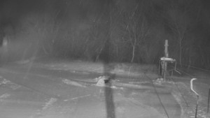 TJ Němčičky - Otočná kamera - 4.1.2026 v 22:35 TJ Němčičky - Otočná kamera - 4.1.2026 v 22:35