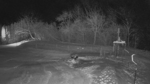 TJ Němčičky - Otočná kamera - 17.2.2026 v 00:20 TJ Němčičky - Otočná kamera - 17.2.2026 v 00:20