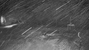 TJ Němčičky - Otočná kamera - 17.2.2026 v 00:45 TJ Němčičky - Otočná kamera - 17.2.2026 v 00:45