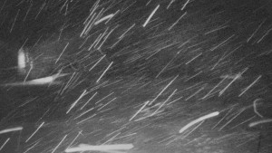 TJ Němčičky - Otočná kamera - 17.2.2026 v 02:50 TJ Němčičky - Otočná kamera - 17.2.2026 v 02:50