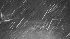 TJ Němčičky - Otočná kamera - 17.2.2026 v 03:15 TJ Němčičky - Otočná kamera - 17.2.2026 v 03:15