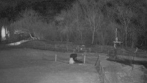 TJ Němčičky - Otočná kamera - 3.3.2026 v 01:20 TJ Němčičky - Otočná kamera - 3.3.2026 v 01:20