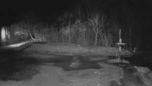 TJ Němčičky - Otočná kamera - 11.3.2026 v 00:00 TJ Němčičky - Otočná kamera - 11.3.2026 v 00:00