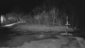 TJ Němčičky - Otočná kamera - 11.3.2026 v 19:00 TJ Němčičky - Otočná kamera - 11.3.2026 v 19:00