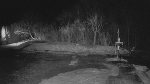 TJ Němčičky - Otočná kamera - 13.3.2026 v 00:00 TJ Němčičky - Otočná kamera - 13.3.2026 v 00:00