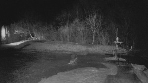 TJ Němčičky - Otočná kamera - 13.3.2026 v 00:55 TJ Němčičky - Otočná kamera - 13.3.2026 v 00:55