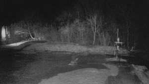 TJ Němčičky - Otočná kamera - 13.3.2026 v 03:45 TJ Němčičky - Otočná kamera - 13.3.2026 v 03:45