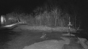 TJ Němčičky - Otočná kamera - 13.3.2026 v 04:45 TJ Němčičky - Otočná kamera - 13.3.2026 v 04:45