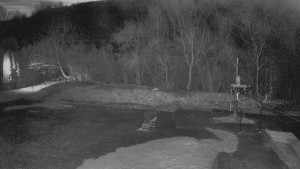 TJ Němčičky - Otočná kamera - 13.3.2026 v 05:20 TJ Němčičky - Otočná kamera - 13.3.2026 v 05:20