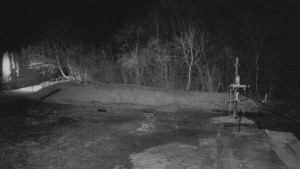 TJ Němčičky - Otočná kamera - 15.3.2026 v 00:00 TJ Němčičky - Otočná kamera - 15.3.2026 v 00:00