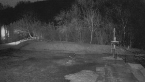 TJ Němčičky - Otočná kamera - 15.3.2026 v 18:45 TJ Němčičky - Otočná kamera - 15.3.2026 v 18:45