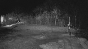 TJ Němčičky - Otočná kamera - 15.3.2026 v 20:50 TJ Němčičky - Otočná kamera - 15.3.2026 v 20:50