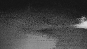 TJ Němčičky - Otočná kamera - 19.3.2026 v 01:20 TJ Němčičky - Otočná kamera - 19.3.2026 v 01:20