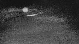 TJ Němčičky - Otočná kamera - 19.3.2026 v 01:50 TJ Němčičky - Otočná kamera - 19.3.2026 v 01:50