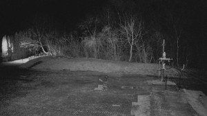 TJ Němčičky - Otočná kamera - 19.3.2026 v 02:30 TJ Němčičky - Otočná kamera - 19.3.2026 v 02:30