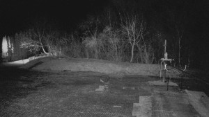 TJ Němčičky - Otočná kamera - 19.3.2026 v 04:30 TJ Němčičky - Otočná kamera - 19.3.2026 v 04:30