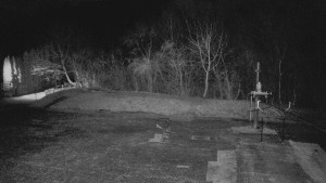 TJ Němčičky - Otočná kamera - 19.3.2026 v 04:45 TJ Němčičky - Otočná kamera - 19.3.2026 v 04:45