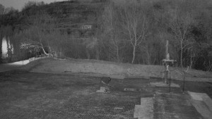 TJ Němčičky - Otočná kamera - 19.3.2026 v 18:50 TJ Němčičky - Otočná kamera - 19.3.2026 v 18:50