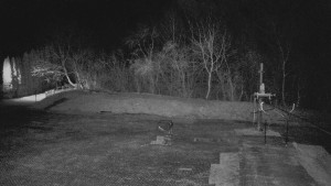 TJ Němčičky - Otočná kamera - 19.3.2026 v 19:30 TJ Němčičky - Otočná kamera - 19.3.2026 v 19:30