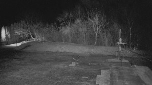 TJ Němčičky - Otočná kamera - 19.3.2026 v 19:45 TJ Němčičky - Otočná kamera - 19.3.2026 v 19:45