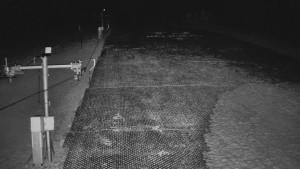 TJ Němčičky - Otočná kamera - 22.3.2026 v 03:15 TJ Němčičky - Otočná kamera - 22.3.2026 v 03:15