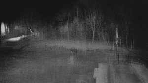 TJ Němčičky - Otočná kamera - 22.3.2026 v 03:50 TJ Němčičky - Otočná kamera - 22.3.2026 v 03:50