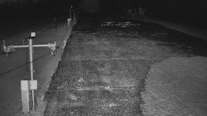 TJ Němčičky - Otočná kamera - 22.3.2026 v 05:00 TJ Němčičky - Otočná kamera - 22.3.2026 v 05:00