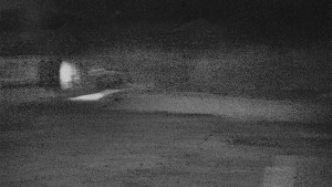 TJ Němčičky - Otočná kamera - 4.4.2026 v 01:10 TJ Němčičky - Otočná kamera - 4.4.2026 v 01:10