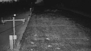 TJ Němčičky - Otočná kamera - 4.4.2026 v 02:45 TJ Němčičky - Otočná kamera - 4.4.2026 v 02:45