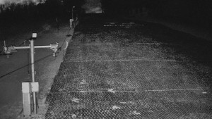 TJ Němčičky - Otočná kamera - 4.4.2026 v 03:45 TJ Němčičky - Otočná kamera - 4.4.2026 v 03:45