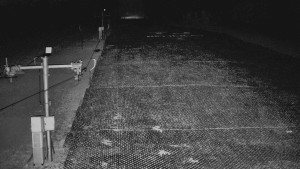 TJ Němčičky - Otočná kamera - 4.4.2026 v 04:30 TJ Němčičky - Otočná kamera - 4.4.2026 v 04:30