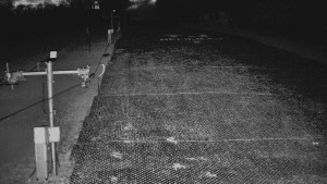 TJ Němčičky - Otočná kamera - 4.4.2026 v 05:15 TJ Němčičky - Otočná kamera - 4.4.2026 v 05:15