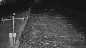 TJ Němčičky - Otočná kamera - 5.4.2026 v 04:55 TJ Němčičky - Otočná kamera - 5.4.2026 v 04:55