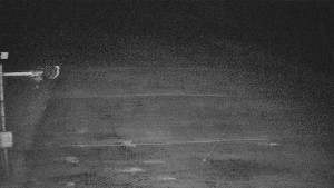 TJ Němčičky - Otočná kamera - 5.4.2026 v 21:40 TJ Němčičky - Otočná kamera - 5.4.2026 v 21:40