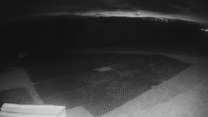 TJ Němčičky - Výstup z vleku - 28.10.2025 v 05:15 TJ Němčičky - Výstup z vleku - 28.10.2025 v 05:15